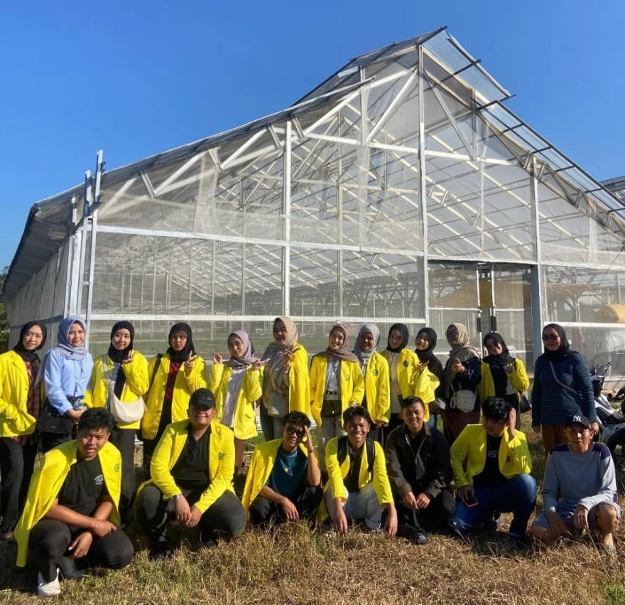 Mahasiswa KKN Universitas Siliwangi Belajar Budidaya Hidroponik di Greenhouse BUMDes Maju Jaya